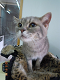 DSCN0136[1]_thumb.png
